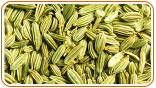 Fennel Seeds
