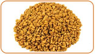 Fenugreek Seeds