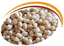 Urad Dal Medium