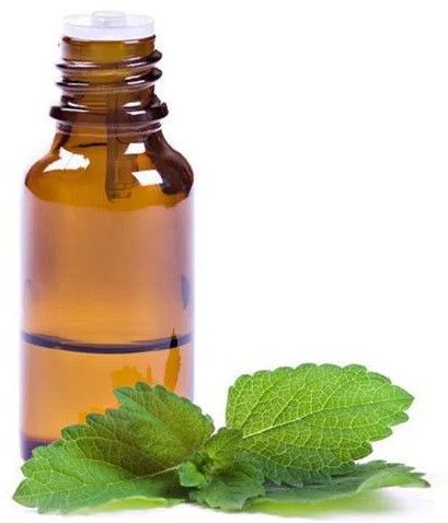 Mentha Essential Oil, Packaging Type : Glass Bottle for Aromatherapy