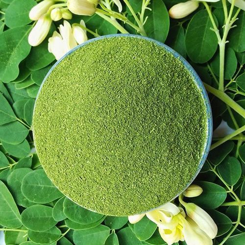 Raw Moringa Powder, Color : Green, Purity : 99.99%