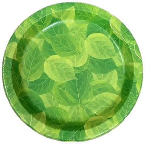 Paper 12 Inches Buffet Plates, Color : Green