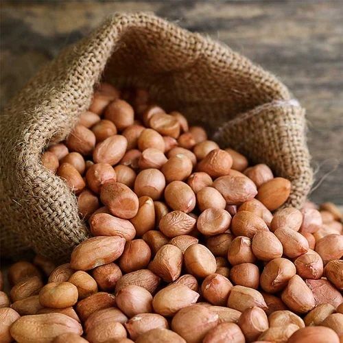 Bold Peanut Seeds