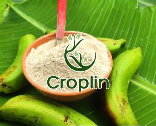 Raw Banana Powder, Packaging Type : Plastic Bag, 5-25kg