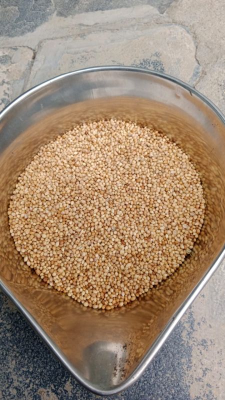 coriander seeds