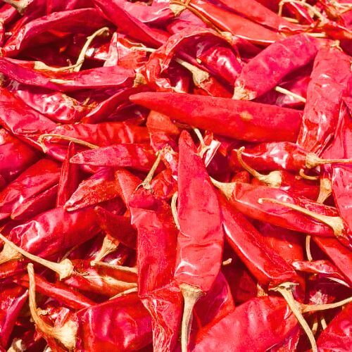 Dry Red Chilli, Packaging Type : Bag for Culinary