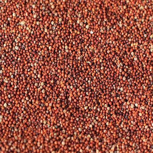 Brown Finger Millet Seeds, Packaging Type : Packet