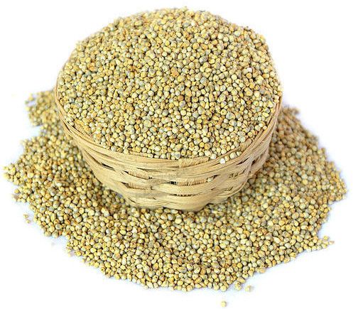 Pearl Millet Seeds, Color : Green, Packaging Type : Bag