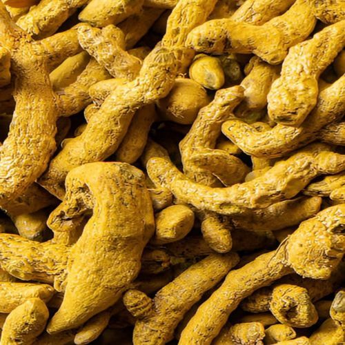 Yellow Organic Salem Turmeric Finger Food Grade