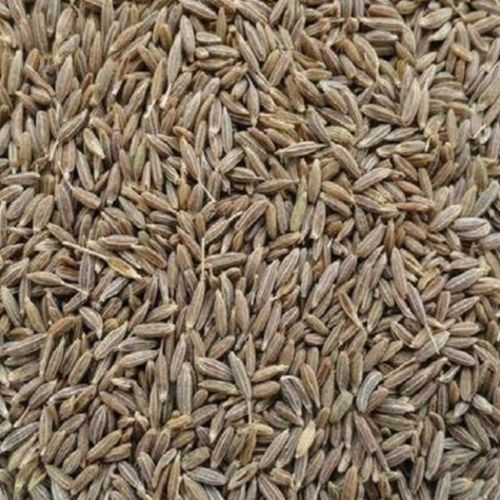 Singapore Quality Brown Organic Standard Cumin Seeds ≤7%