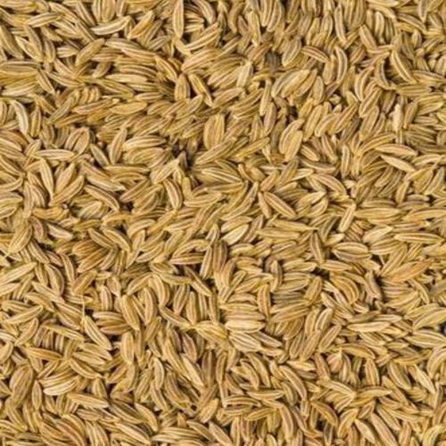Gulf Quality Brown Organic Superior Cumin Seeds, Seed Type : Natural