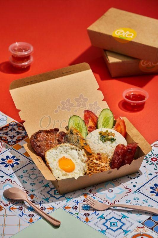 Disposable Lunch Boxes