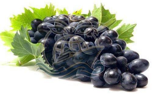 A Grade Fresh Black Grapes, Packaging Type : Box