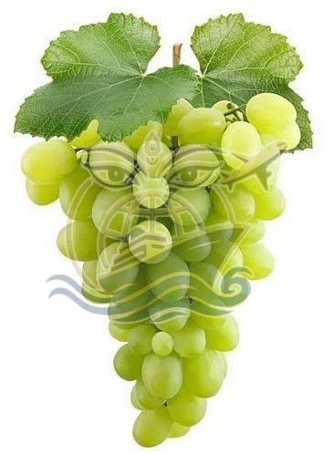 A Grade Fresh Green Grapes, Packaging Type : Box