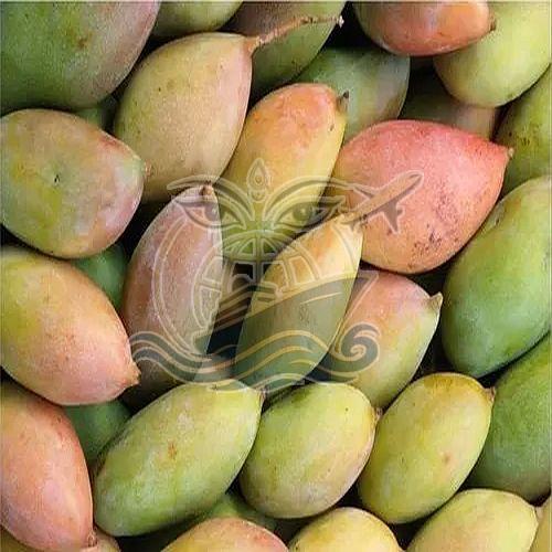 A Grade Fresh Totapuri Mango, Packaging Type : Box