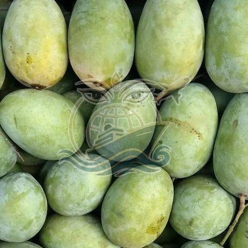 A Grade Green Malda Mango