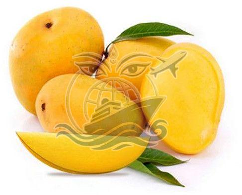Fresh Alphonso Mango