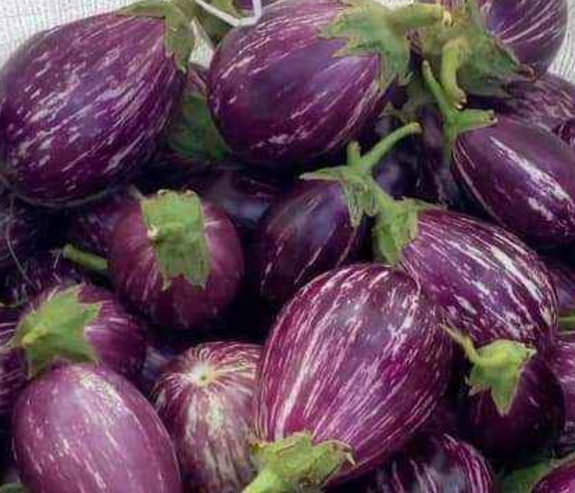 A Grade Brinjal