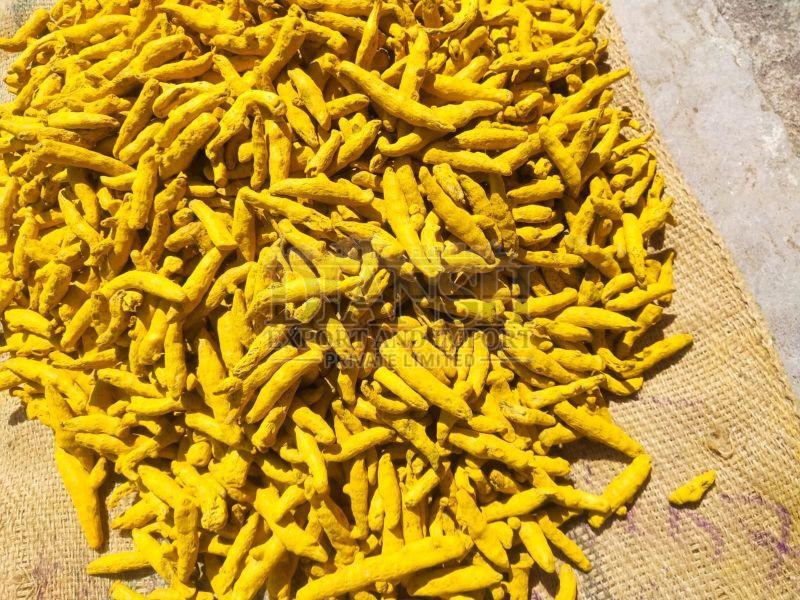 Nizamabad Turmeric Finger