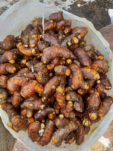 A Grade Fresh Turmeric