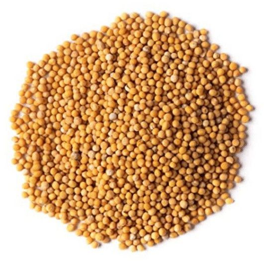 Yellow Mustard Seeds