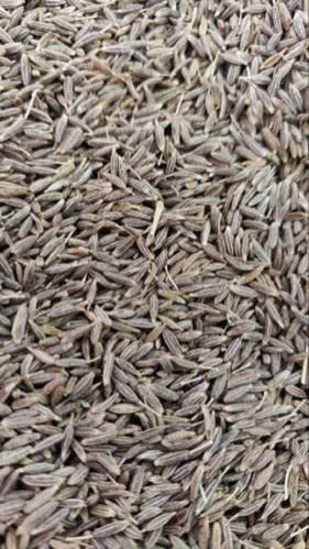 Agriculture Product Cumin Whole Seed, Color : Brown