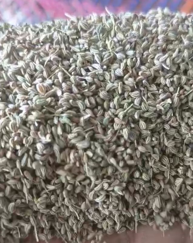 Carom Seeds