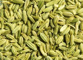 Fennel Seeds for Food, Medicines
