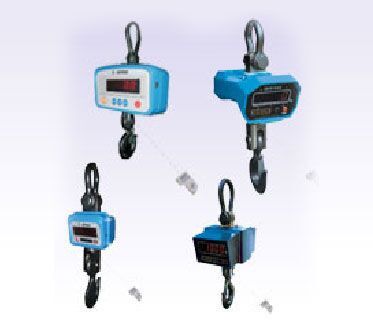 Standard Crane Scales