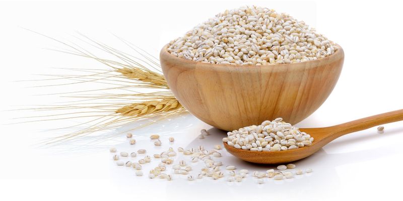 Barley Seeds