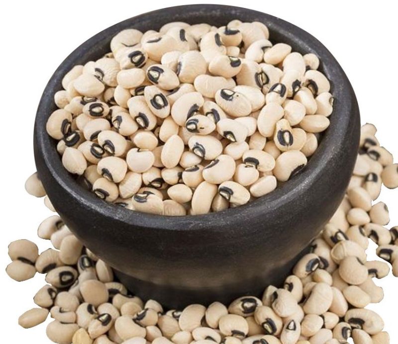 Cowpea