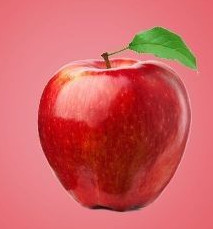Fresh Apple, Packaging Type : Bulk, Carton, Mesh Bag