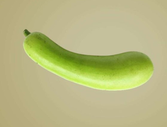 Fresh Bottle Gourd