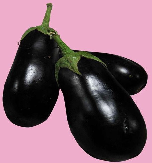 Fresh Brinjal