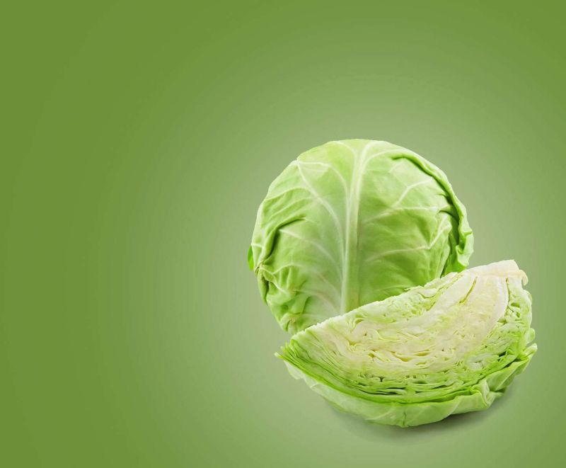 Fresh Cabbage