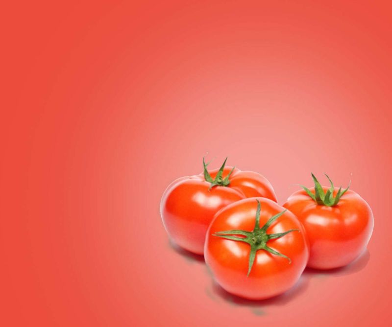Fresh Tomato