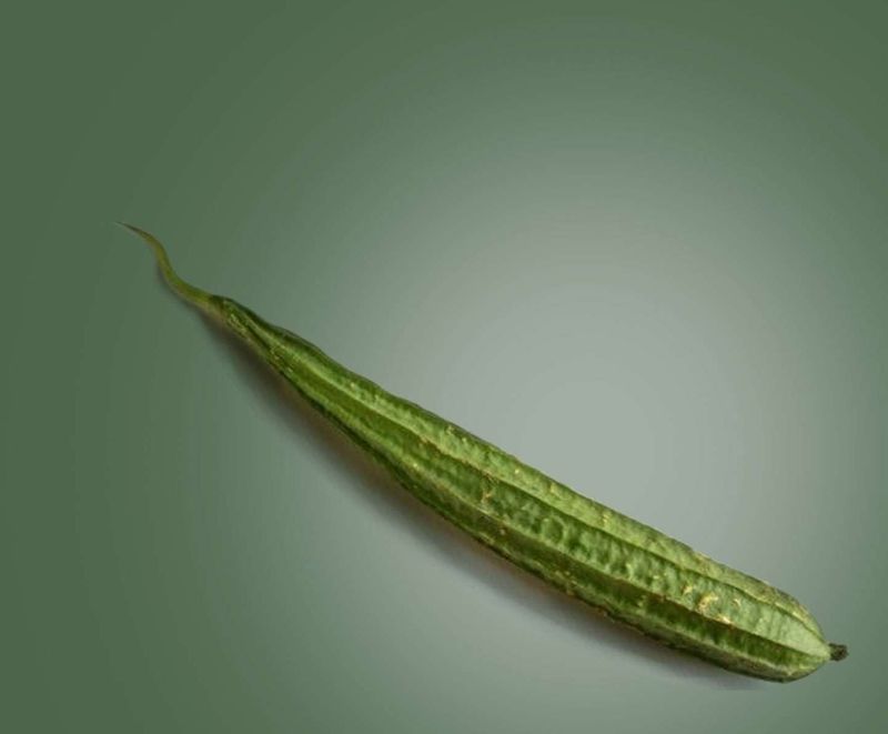 Ridge Gourd