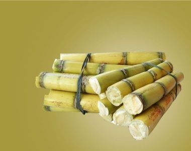Sugarcane, Color : White For Juice