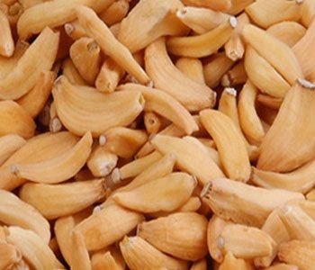 Dehydrated Garlic Cloves