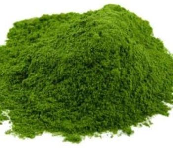Palak Powder