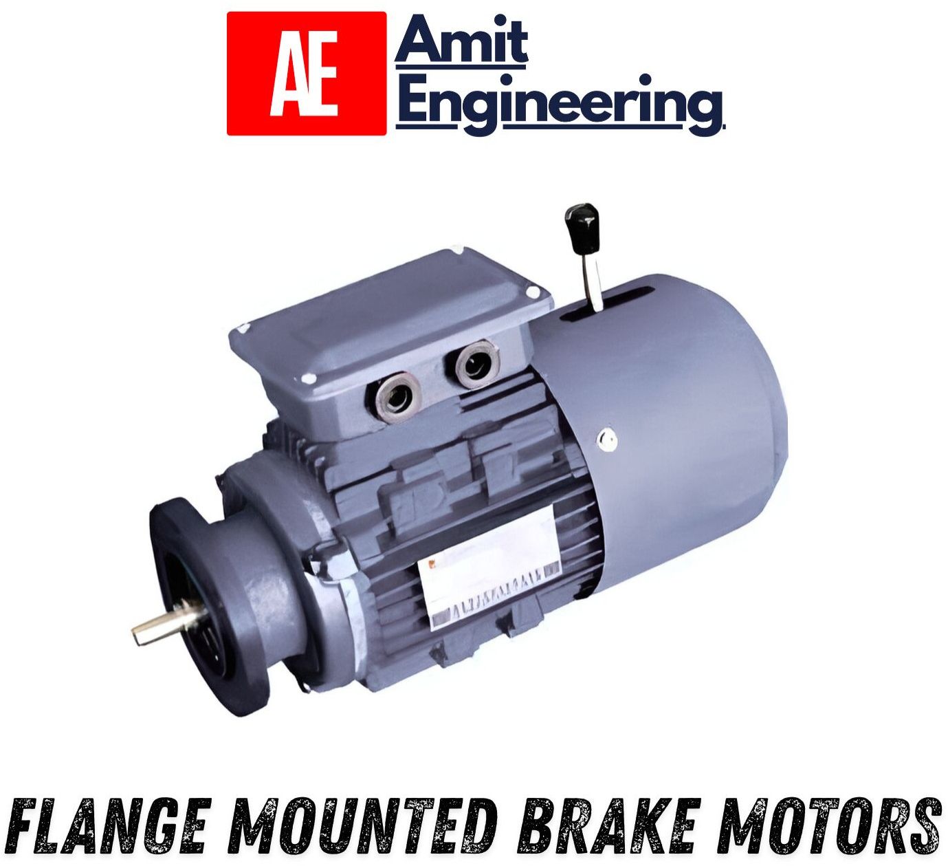Geared Brake Motor