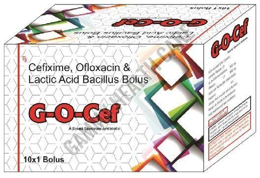 G-O CEF Antibiotic Bolus