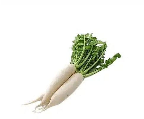 A Grade Fresh Radish