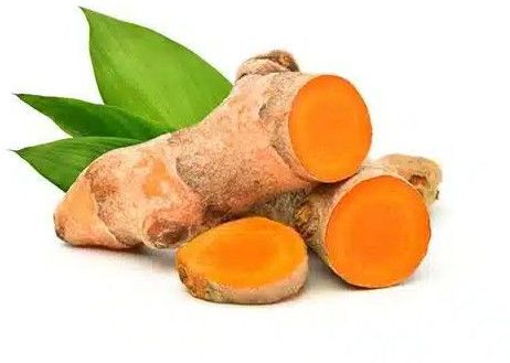 Fresh Raw Turmeric, Color : Orange for Cooking, Seasoning