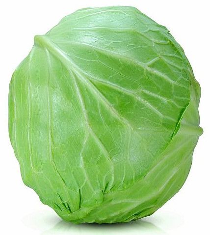 High Quality Green Cabbage