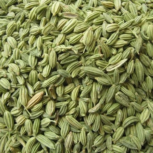 Green Organic Fennel Seeds, Seed Type : Natural 9%