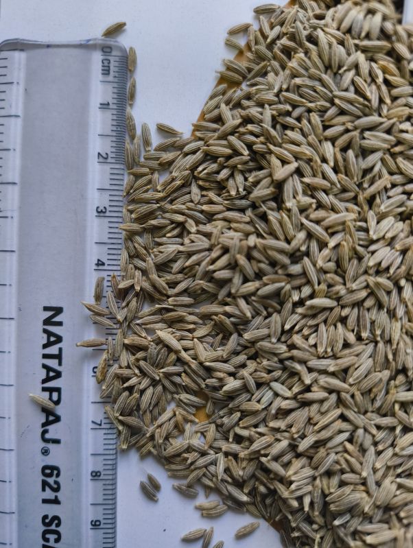 Premium Cumin Seeds