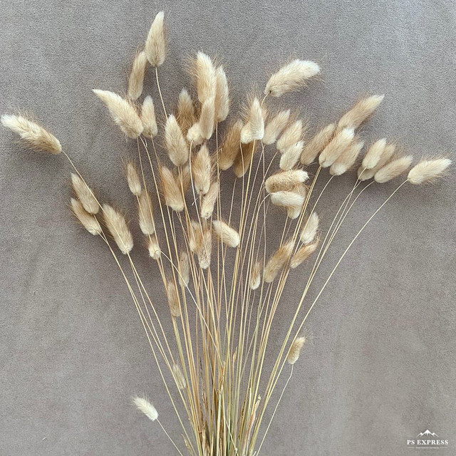 Dried Flower