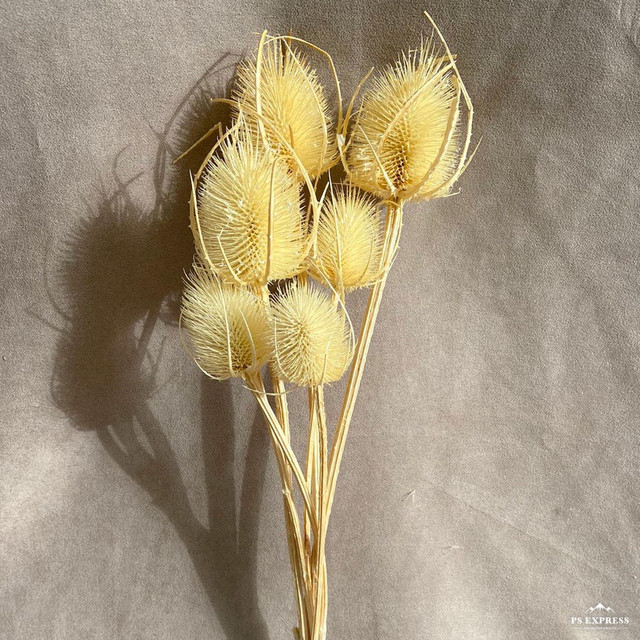 Dried Flower