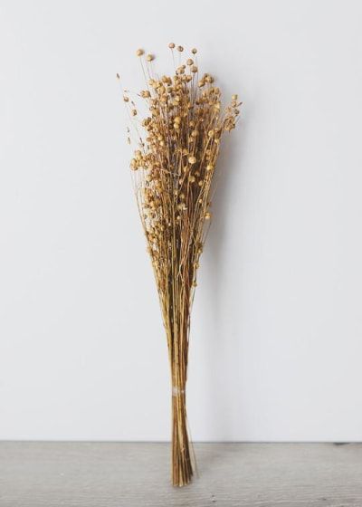 Dried Flower